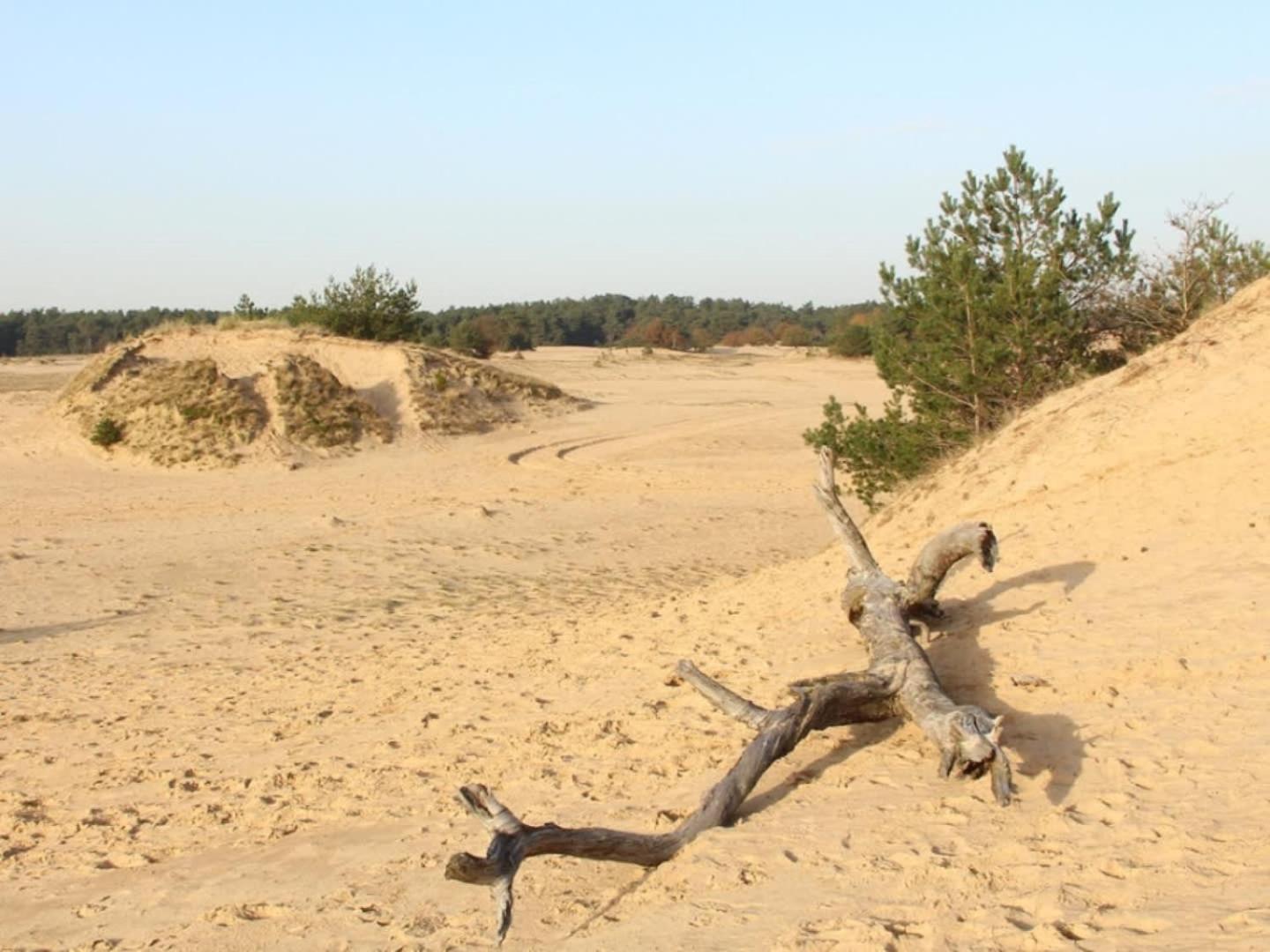 Vakantiehuis Op Rustig Bospark Veluwe Voorthuizen Exterior foto