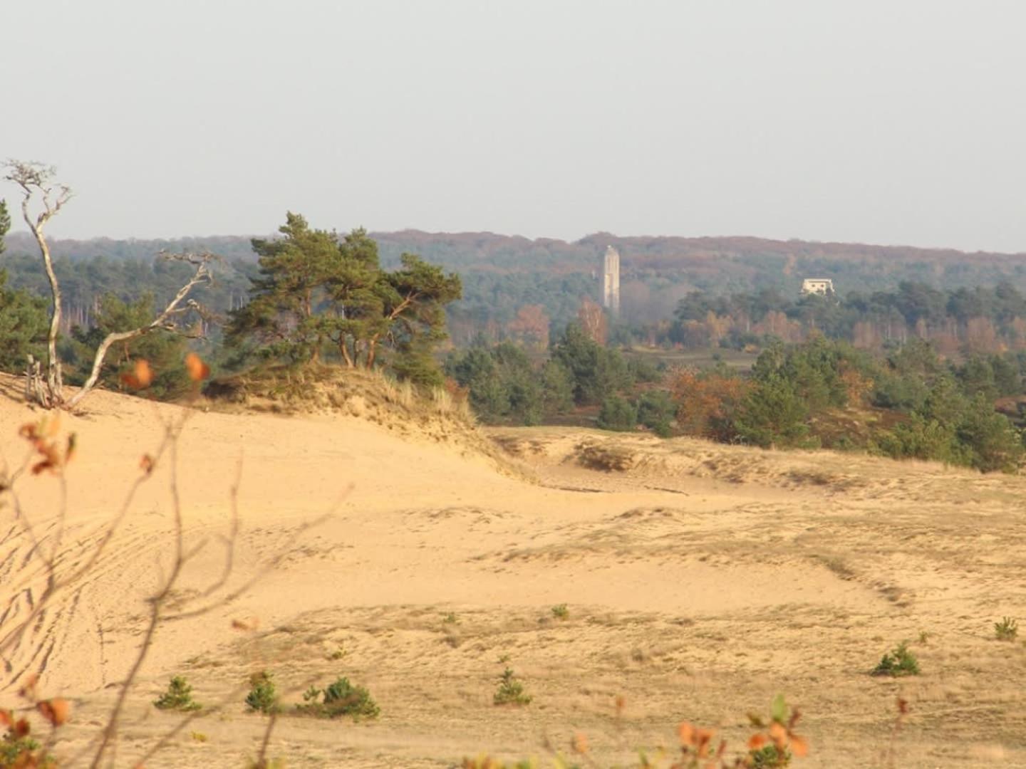 Vakantiehuis Op Rustig Bospark Veluwe Voorthuizen Exterior foto