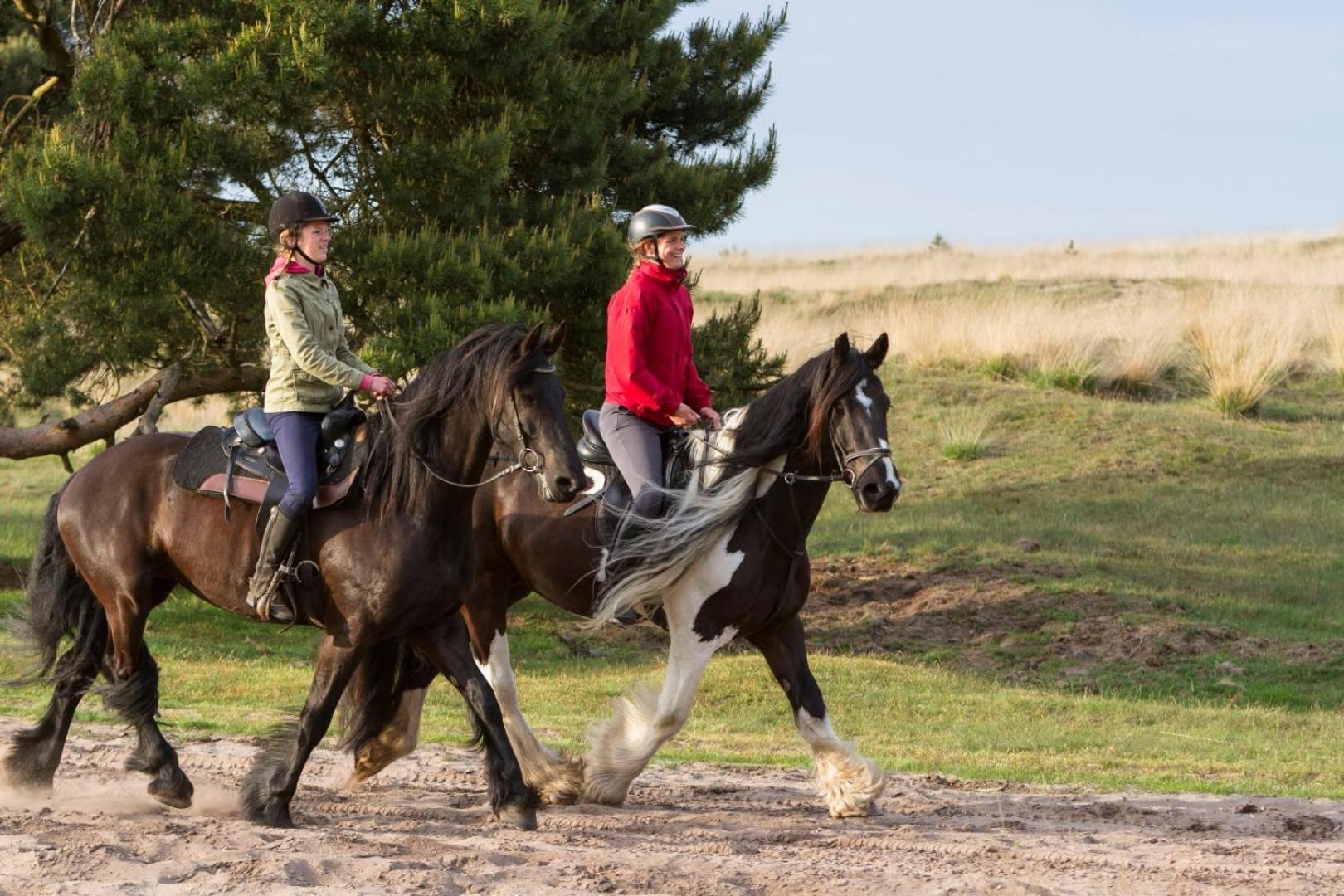 Vakantiehuis Op Rustig Bospark Veluwe Voorthuizen Exterior foto