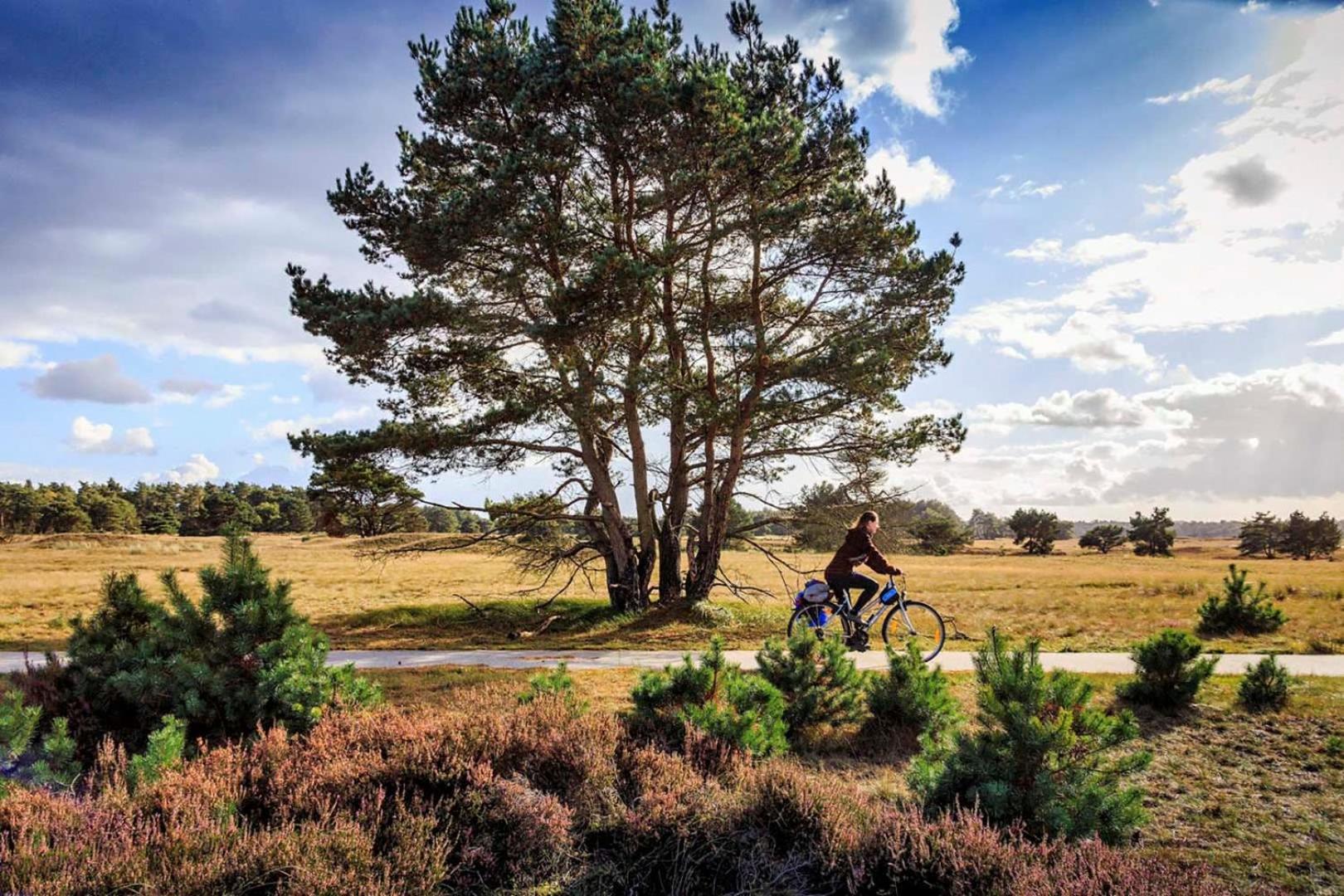 Vakantiehuis Op Rustig Bospark Veluwe Voorthuizen Exterior foto