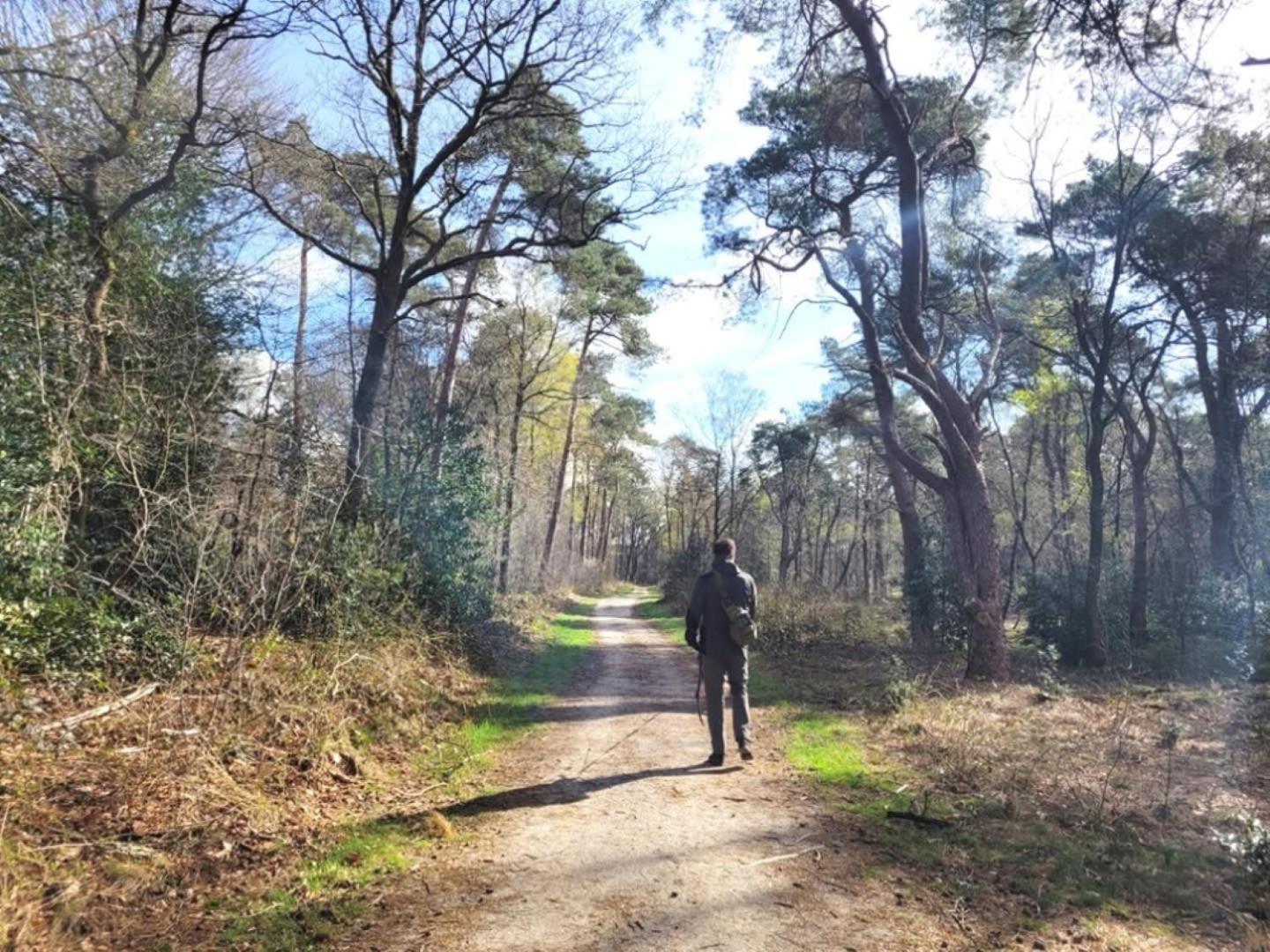 Vakantiehuis Op Rustig Bospark Veluwe Voorthuizen Exterior foto
